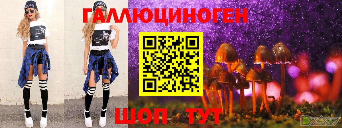 Галлюциногенные грибы ЛСД  Вход с VPN  Галлюциногенные грибы Psilocybine cubensis  купить  цена  Ленинск-Кузнецкий 