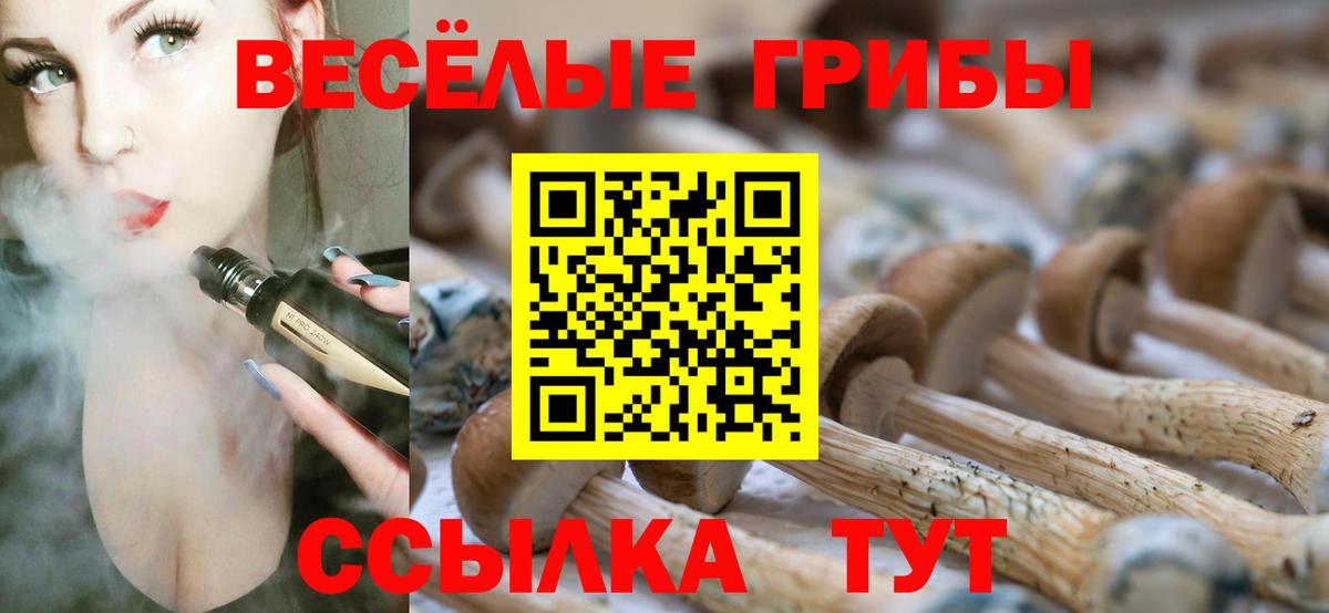 Галлюциногенные грибы ЛСД Ленинск-Кузнецкий